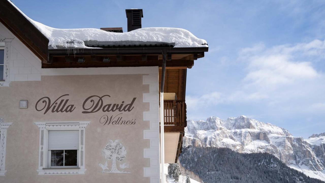 Villa David Dolomites セルヴァ・ディ・ヴァル・ガルデーナ エクステリア 写真