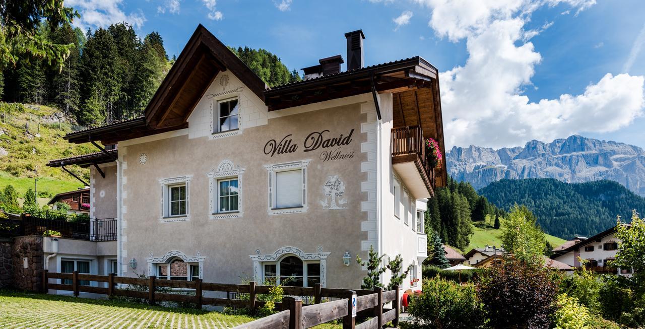 Villa David Dolomites セルヴァ・ディ・ヴァル・ガルデーナ エクステリア 写真